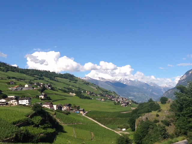 Weinberge Wallis Weinreise